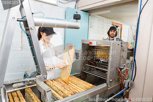 Image of Beekeepers Working At Honey Extraction Plant