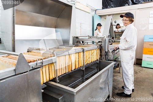 Image of Beekeeper Working On Honey Extraction Plant In Factory