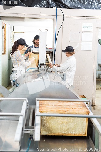 Image of Beekeepers Extracting Honey From Machine In Factory