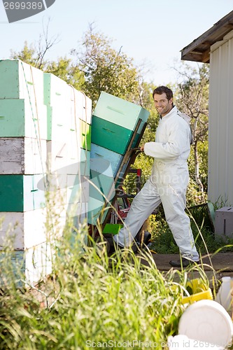 Image of Beekeeper Smiling While Loading Stacked Honeycomb Crates In Truc