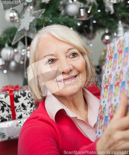 Image of Smiling Woman With Christmas Gift