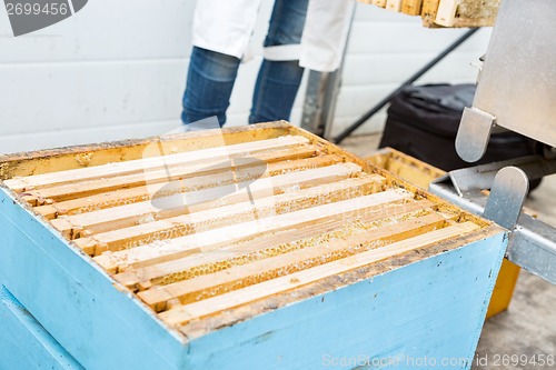 Image of Closeup Of Honeycomb Frames In Apiary