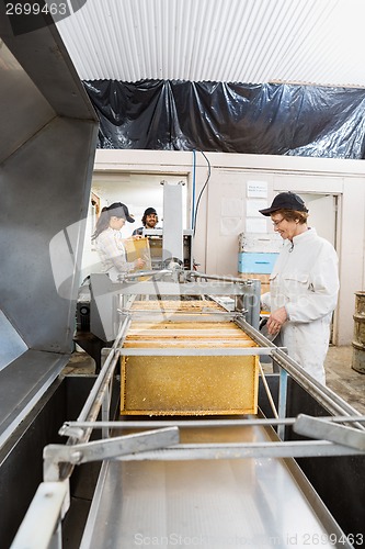 Image of Female Beekeeper Working On Honey Extraction Plant