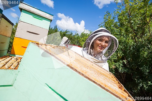 Image of Female Beekeeper Working With Colleague At Apiary