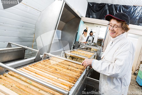 Image of Happy Beekeeper Working On Honey Extraction Machine