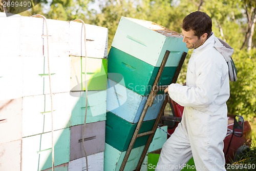 Image of Beekeeper Loading Stacked Honeycomb Crates