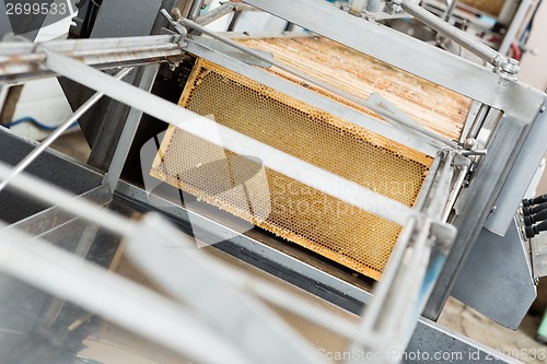 Image of Honeycomb Frames In Extraction Plant