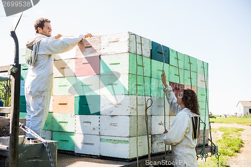 Image of Beekeepers Loading Honeycomb Crates In Truck