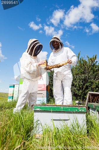 Image of Beekeepers Working At Apiary