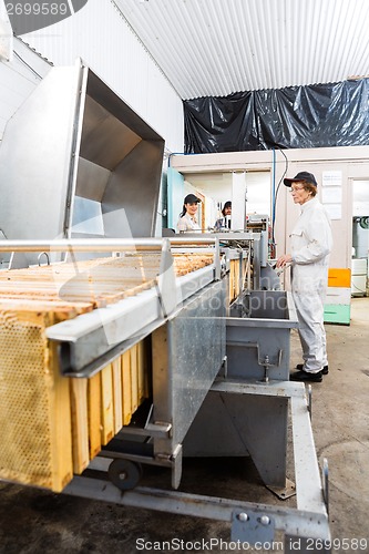 Image of Beekeepers Working On Honey Extraction Plant