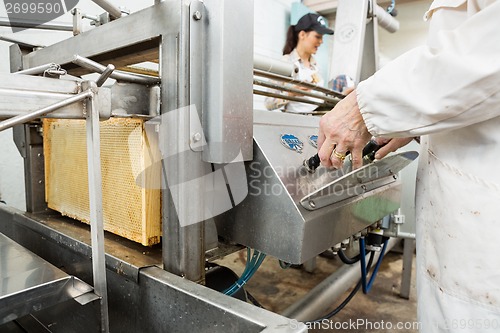 Image of Beekeeper Operating Honey Extraction Plant