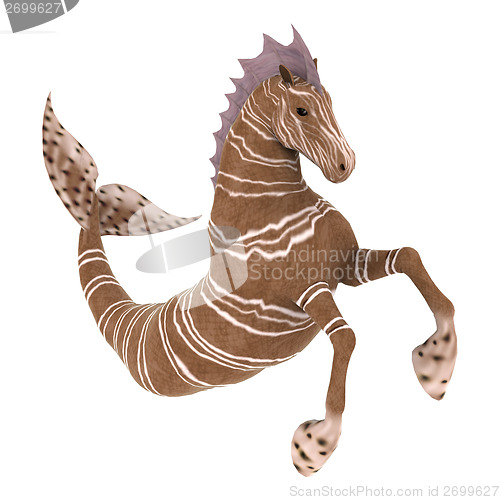 Image of Hippocampus Mermaid's Horse