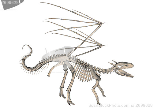 Image of Dragon Skeleton