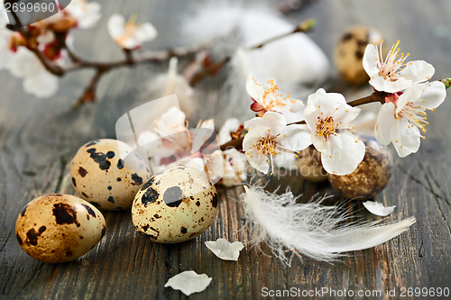 Image of Easter composition with blooming branch.