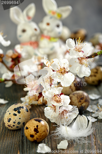 Image of Flowering branch, feather, and quail eggs.