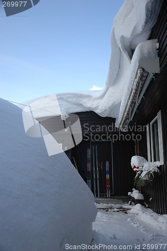 Image of Norwegian Winter