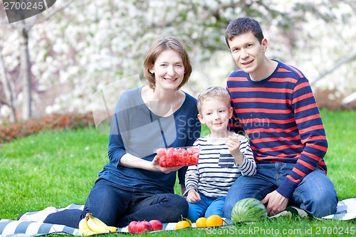 Image of family picnic