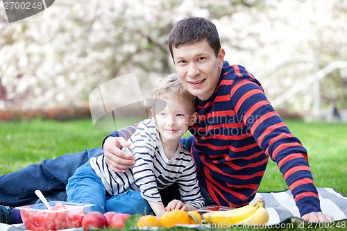 Image of family picnic