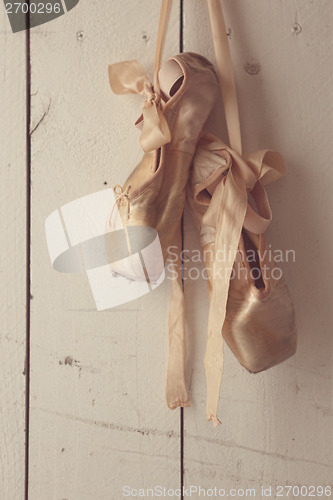 Image of Posed Pointe Shoes in Natural Light 