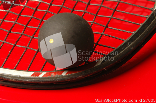 Image of squash