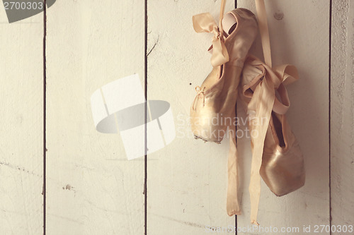 Image of Posed Pointe Shoes in Natural Light 