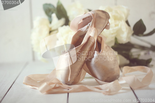 Image of Posed Pointe Shoes in Natural Light 