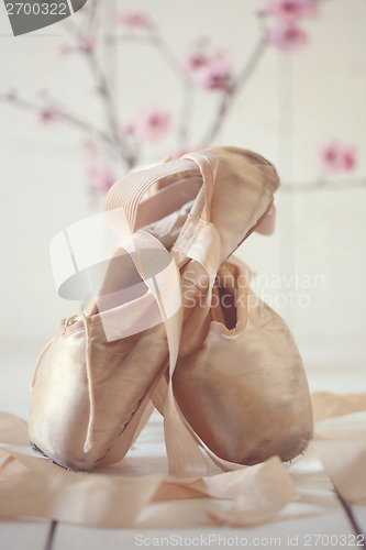 Image of Posed Pointe Shoes in Natural Light 