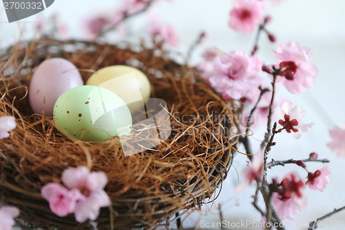 Image of Easter Holiday Themed Still Life Scene in Natural Light