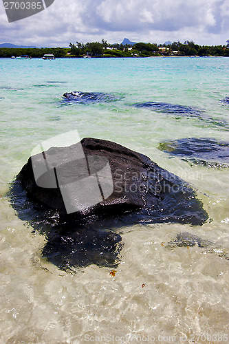 Image of indian ocean some stone in the island  