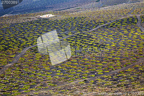 Image of abstract winery lanzarote spain la geria 