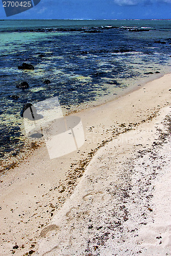 Image of foam footstep indian ocean  