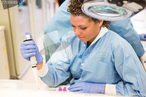 Image of Researcher Experimenting In Laboratory