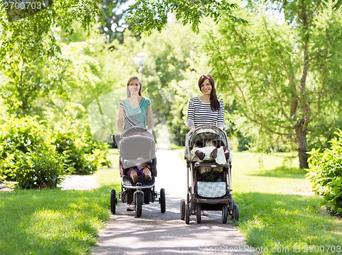 Image of Mothers With Baby Strollers Walking In Park