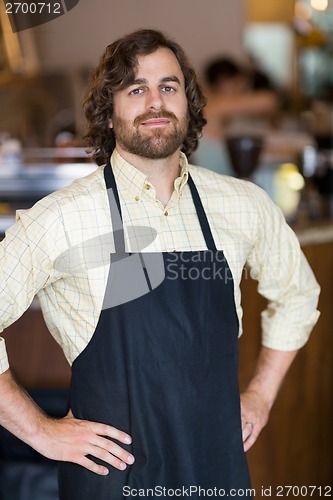 Image of Male Owner With Hands On Hips