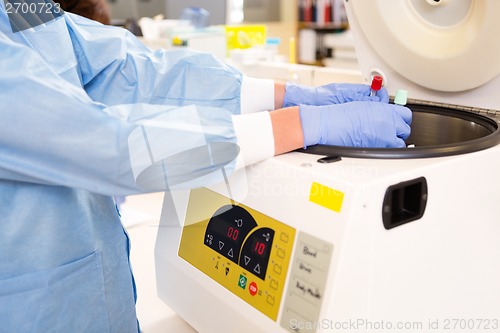 Image of Test Tubes Being Loaded in Centrifuge