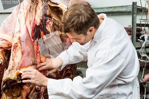 Image of Butcher Checking Side of Beef