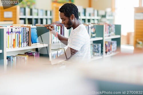 Image of Male Librarian Arranging Books In Bookstore