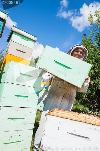 Image of Beekeeper Carrying Honeycomb Crate