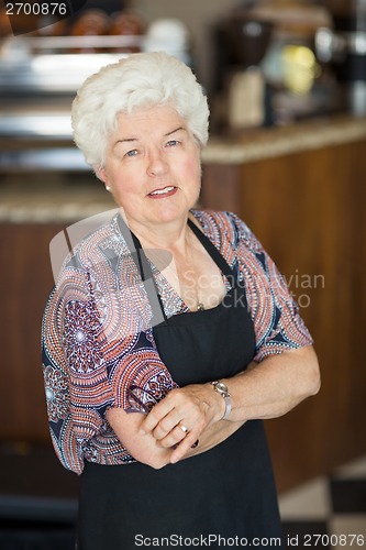 Image of Confident Senior Owner Standing In Coffeeshop