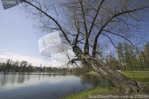 Image of Ekaterinensky park - lake