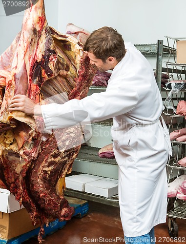 Image of Butcher grading side of beef