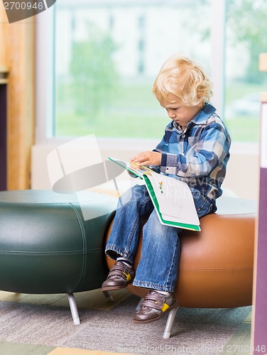 Image of Cute Boy Reading Book In School Library