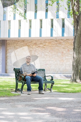Image of Mid Adult Student Sitting On Bench At Campus
