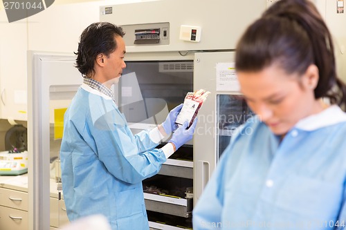 Image of Blood Bank Storage