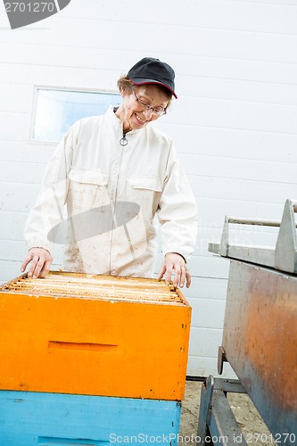 Image of Beekeeper Arranging Honeycomb Frames