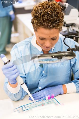 Image of Scientist Experimenting In Laboratory