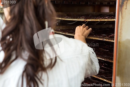 Image of Female Butcher Standing By Oven In Shop