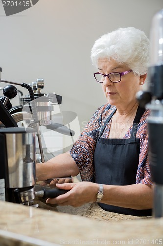 Image of Casual Portrait of Senior Barista