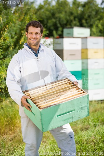 Image of Confident Beekeeper Carrying Honeycomb Crate