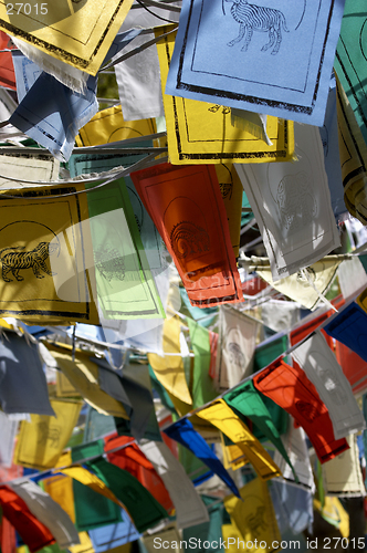 Image of Flags showing animals